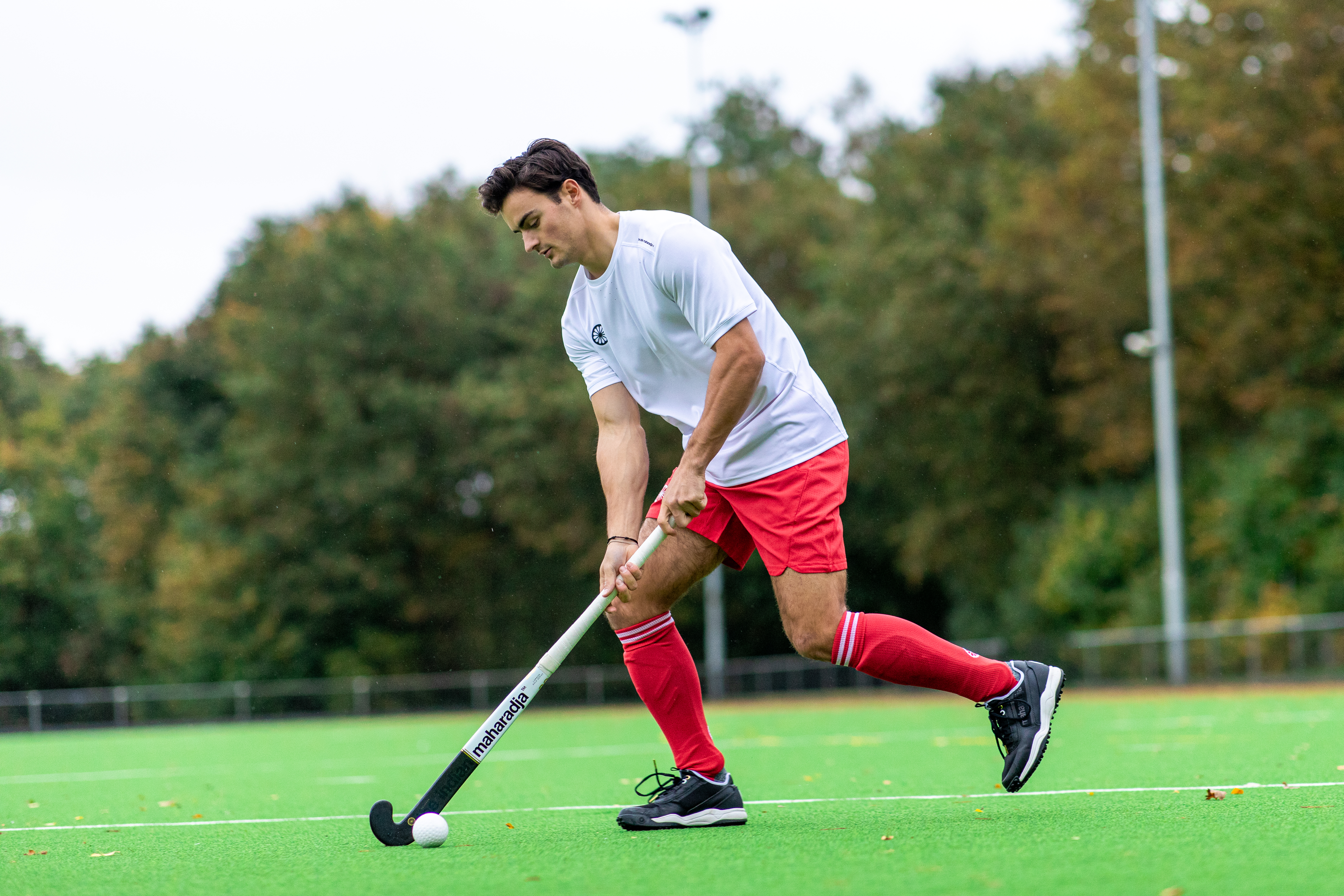 INDIANMAHARADJA DAY2 3517 (1)